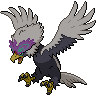 Dark Braviary (Hisuian)